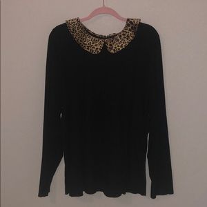 Torrid Sweater with Cheetah Collar